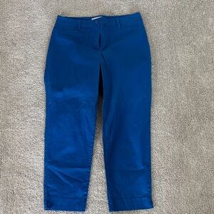 Talbots Bright Blue Garment